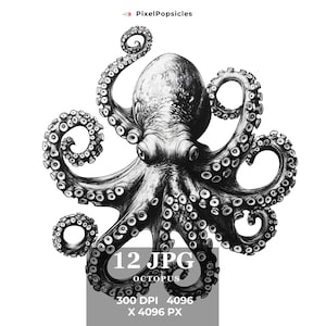 12 Octopus Clipart: Black & White Watercolor Ink (Digital Download)