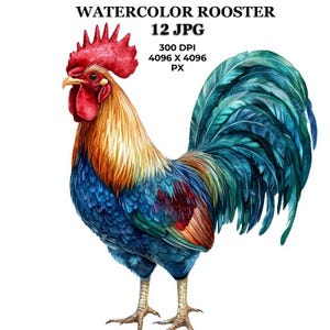 Gallo en acuarela: ilustración vibrante de un pollo de granja para tarjetas, invitaciones, decoración de cocina, manualidades y proyectos digitales