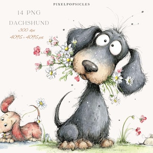 May include: A charming illustration of two dachshunds. One, with a surprised expression, holds a bouquet of daisies and wildflowers. The other dachshund is lying down. The image includes the text "14 PNG DACHSHUND 300 dpi 4096 x 4096 px".
