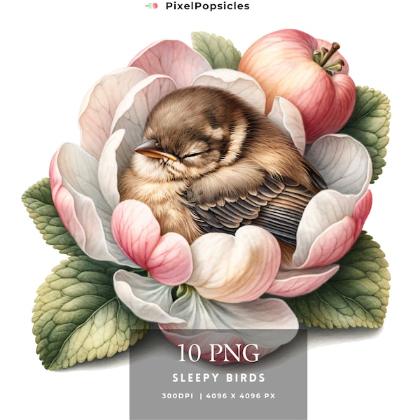 10 Cute  Little Birds png, Sleepy Birds Clipart png, Scrapbooking, Card Making,Cute Nursery Spring Bundle Commercial, Instant Download