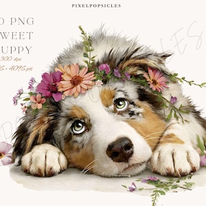 May include: A watercolour illustration of a puppy wearing a floral crown. The puppy has brown, white, and black fur and is lying down. The image includes text that reads "20 PNG Sweet Puppy 300 dpi 4096 x 4096 px."