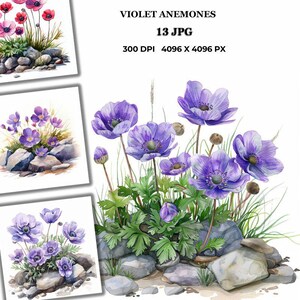 Anémonas violetas JPG / Ilustración floral en acuarela / Arte floral botánico para tarjetas, carteles, guarderías y álbumes de recortes / Descarga instantánea