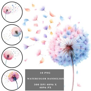 May include: Watercolor illustration of a dandelion with pink and blue hues, with floating seeds. The image includes four circular designs of dandelions and the text "10 PNG WATERCOLOR DANDELION 300 DPI 4096 X 4096 PX".
