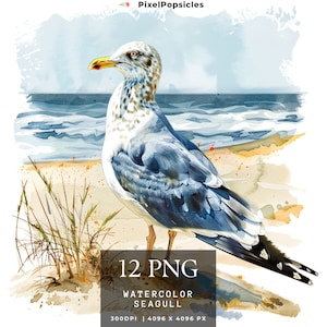 12 Seagull  Clipart, Bird Clipart, Printable Watercolor clipart, High Quality PNG, Digital download, Paper craft, junk journal