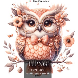 11 süsse Eule Clip Art, Baby Vogel, süsse PNG Mädchen Brille, Kinder Shirt Design, Party Kartenherstellung, Sublimation, Geschenkanhänger, Junk Journal