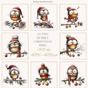 May include: A collection of whimsical watercolor illustrations of quirky Christmas birds. Each bird is perched on a branch, wearing a festive hat and scarf, and surrounded by ornaments. The text "PIXELPOPSICLES" and "22 PNG QUIRKY CHRISTMAS BIRD" are also visible.
