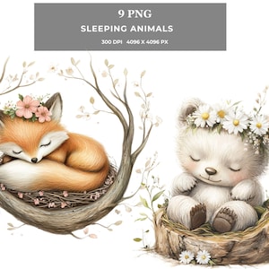 May include: Two illustrations of sleeping animals. A fox with a pink flower crown is curled up in a nest of twigs and leaves. A white bear with a white flower crown is sitting in a tree stump with its paws tucked in.