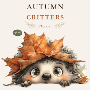 Peut inclure: Une illustration numérique d'un hérisson regardant sous une grande feuille d'automne orange-brun. Le texte au-dessus indique AUTUMN CRITTERS Clipart, avec un petit badge ovale vert indiquant 24 PNG. Le hérisson a de grands yeux sombres.
