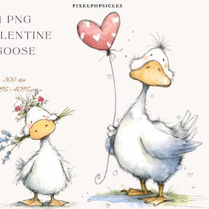 May include: A watercolour illustration of two cartoon geese. One goose holds a heart-shaped balloon, the other holds flowers. The text reads "11 PNG VALENTINE GOOSE". The image is labelled "300 dpi 4096 x 4096 px".