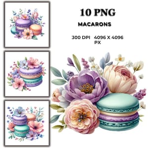 Macarons with Flowers Clipart – Elegant Watercolor Macaron & Floral Illustrations for Cards, Invitations, Decor  Digital Project