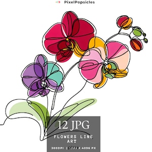 12 Line floral clipart set - One line drawing sketch flowers - Minimal abstract line art botanical - Wedding invite card logo - PNG