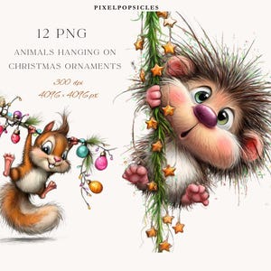 Può includere: Illustrazione digitale con uno scoiattolo e un riccio appesi a decorazioni natalizie. Lo scoiattolo ha la pelliccia marrone e una coda folta, mentre il riccio ha le spine. L'immagine include il testo "12 PNG Animals Hanging on Christmas Ornaments."
