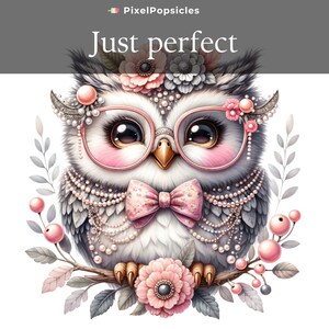 11 Cute Owl Clip Art, Baby Bird , Cute PNG Girl Glasses, Kids Shirt ...