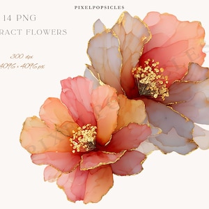May include: Two abstract flower illustrations in shades of pink, peach, and white with gold accents. The flowers have a watercolor effect and are labelled "14 PNG ABSTRACT FLOWERS" with resolution details.