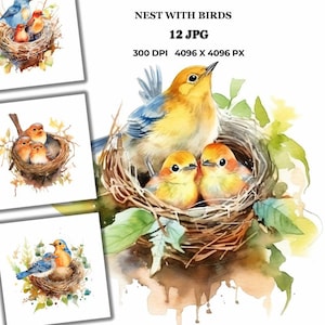 12 Ninho com Pássaros JPG | Ilustração Vintage da Natureza | Arte de Pássaros em Aquarela para Cartões, Cartazes, Berçário e Scrapbooking | Download Instantâneo
