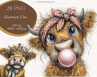 Clipart de vaca escocesa: Paquete PNG de acuarela de vaca de verano (descarga digital)