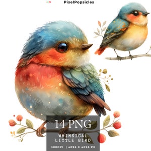 14 passarinhos caprichosos PNG, clipart de pássaros fofos PNG, scrapbooking, criação de cartões, comercial de pacote de primavera para berçário fofo, download instantâneo