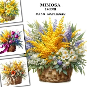 Mimosa Watercolor Art, Floral Mug, Card, Printable, Women's Day Gift, Yellow Acacia Illustration, Spring Botanical Decor, Gift Nature Lovers
