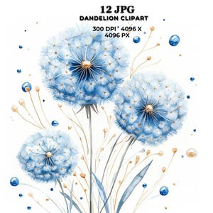 Pusteblume Clipart - elegante Aquarell Pusteblumen Illustrationen für Karten, Einladungen, Wandkunst, digitale Projekte