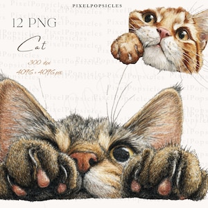 May include: Digital illustration of two cats. One is a close-up of a tabby cat's face and paw, the other is a ginger cat's face and paw. The image includes the text "12 PNG" and "Cat". The image is 4096 x 4096 px.