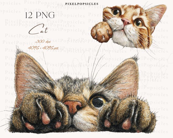 Cat Clipart Bundle | 12 Watercolor Cat PNG | Transparent Background