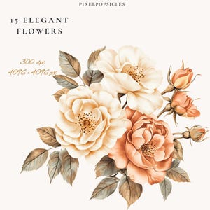 15 elegante bloemen png ClipArt png, aquarel bloemen PNG, lentebloem clipart, vintage PNG, commercieel gebruik, instant digitale download