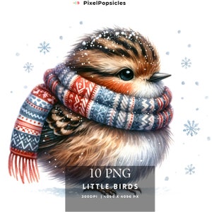 10 Cute  Little Birds png, Winter Birds Clipart png, Scrapbooking, Card Making,Cute Nursery Spring Bundle Commercial, Instant Download