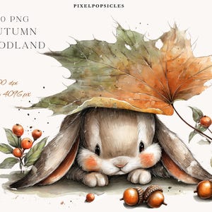 Può includere: Illustrazione ad acquerello di un coniglietto nascosto sotto una grande foglia autunnale. Il coniglietto è marrone con guance rosa e lunghe orecchie. Bacche e ghiande sono sparse intorno al coniglietto. Il testo in alto recita "PIXELPOPSICLES" e "20 PNG AUTUMN WOODLAND".