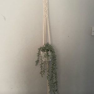 Peut inclure: Un porte-plante en macram&eacute; blanc avec une plante verte suspendue. La plante est dans un pot blanc.