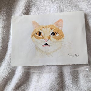 Gatti acquerellati