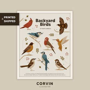 Lernposter mit Vögel, Montessori Lerndruck, Homeschooling Kinderzimmer Wandkunst
