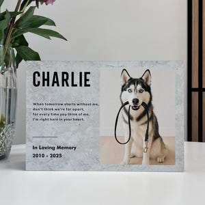 Dog Memorial Photo print Cremation Urn For Ashes, Pet Loss Modern Pet Ashes Cremation Box - Concrete Style