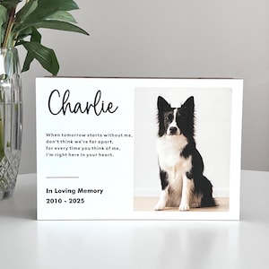 Urna na pamiątkę dla zwierzaka ze zdjęciem: Spersonalizowane pudełko na prochy psa