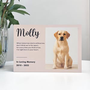 Personalized Pet Photo Urn: Engraved Memorial Keepsake Box