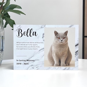 Urna kremacyjna z wizerunkiem kota: Pamiątkowa fotografia, nowoczesny styl marmurowy