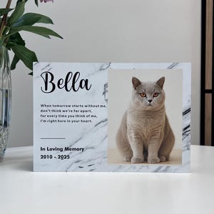 Pet Urn for Ashes, Pet urn with photos, Pet urn for Dogs, Pet urn for Cats, Dog Urn for Ashes, Pet memorial Urn for dogs