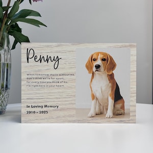Personalized Dog Urn, Pet Urn, Cat Urn, Pet Memorial Dog Urn for Ashes, Custom Dog Urn, Dog Memorial, Medium Size Custom Urn for Any Pet