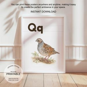 Póster de la letra Q con la inicial Q, impresión artística para el aula, arte de pared neutro con letras del alfabeto para guardería, póster imprimible para educación en el hogar para amantes de la naturaleza.