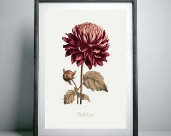 Poster Retro Botanical Fall Dahlia