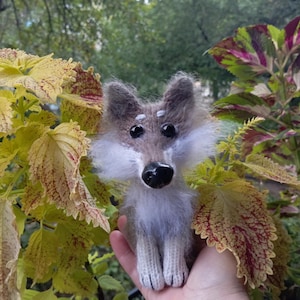 Puede incluir: Una muñeca de lobo de peluche hecha a mano, con un cuerpo esponjoso gris y blanco. El lobo tiene ojos negros y una nariz negra. La muñeca se sostiene en una mano, con un fondo de follaje verde y hojas amarillas y rojas.