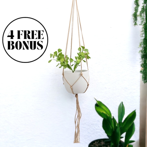 Macrame Plant Hanger, Hanging Plant Pot, Wall Hanging Planter, Macrame Pot, Hanging Succulent Planter, Ceiling Planter