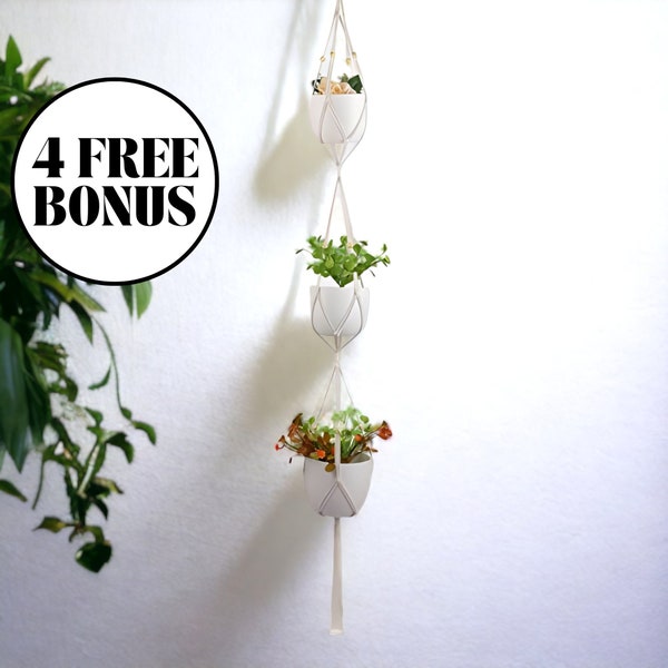 Macrame Plant Hanger, Hanging Plant Pot, Wall Hanging Planter, Macrame Pot, Hanging Succulent Planter, Ceiling Planter