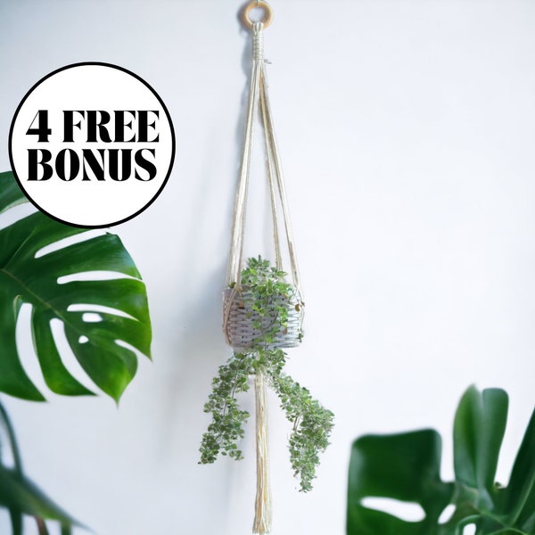 Macrame Plant Hanger, Hanging Plant Pot, Wall Hanging Planter, Macrame Pot, Hanging Succulent Planter, Ceiling Planter