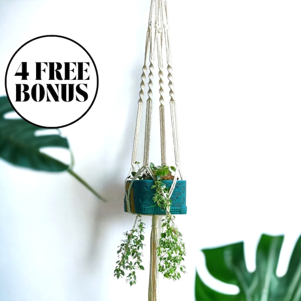 Macrame Plant Hanger, Hanging Plant Pot, Wall Hanging Planter, Macrame Pot, Hanging Succulent Planter, Ceiling Planter