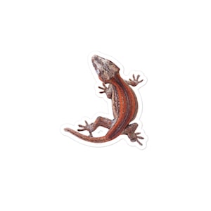 Vulcan Gargoyle Gecko Stickers