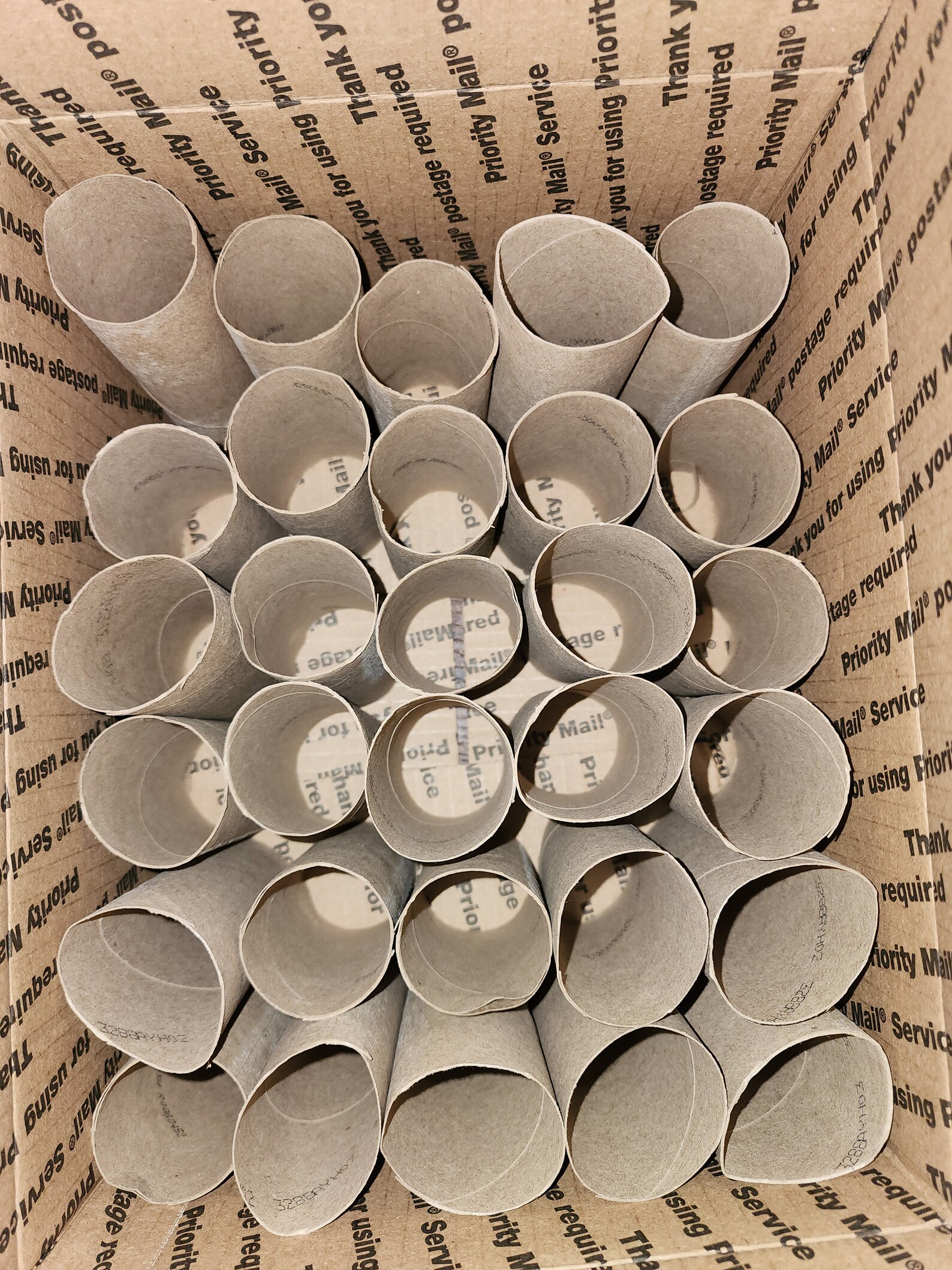 30 Toilet Paper Roll Tubes for Crafts Etsy