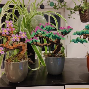 Op de afbeelding: Drie bonsai-bomen gemaakt van kleurrijke plastic kralen. De bomen staan in kleine potten en hebben bruine stammen en groene en roze bladeren. De bonsai-bomen staan op een zwart oppervlak met groene planten op de achtergrond.