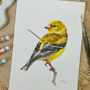 Original Goldfinch Bird Watercolor Painting | Wall Art for Nature Lovers & Ornithology Fans | Hand-Painted Bird Art | Home Decor Gift