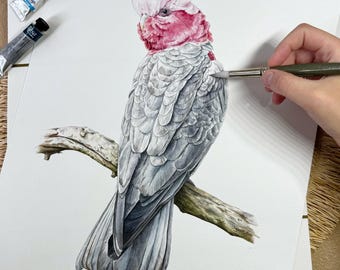 Pintura original em aquarela de uma cacatua-rosa | Arte de parede para entusiastas de aves | Pintura para ornitologia