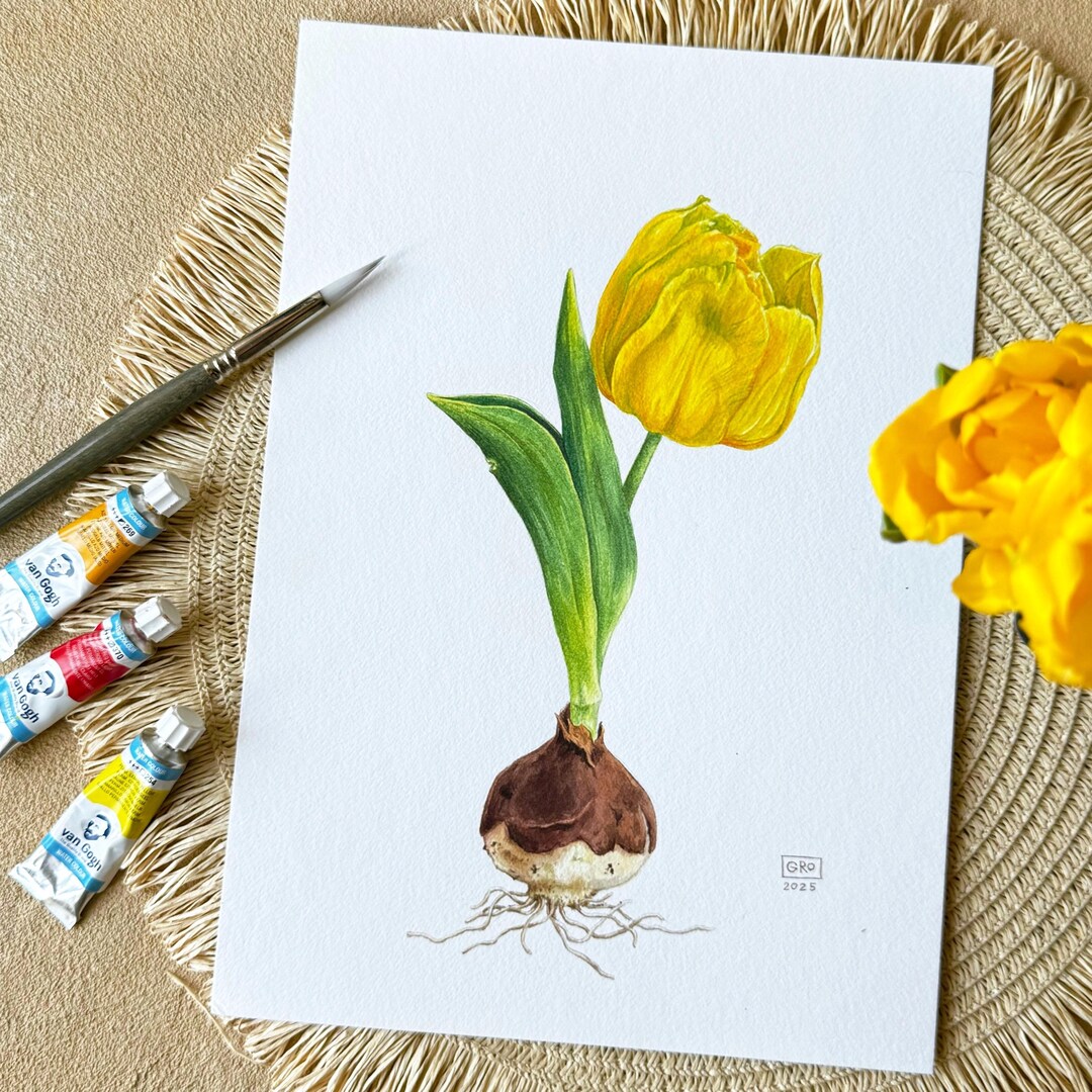 Original Watercolor Painting Yellow Tulip - Botanical Illustration ...